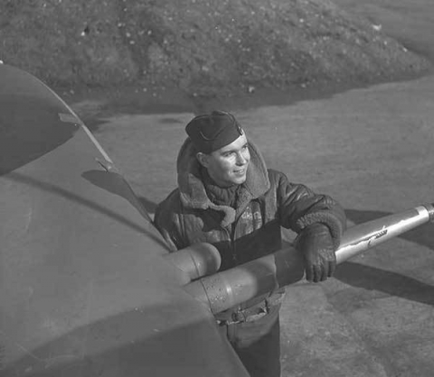 Irvin RAF Sheepskin Flying Jacket