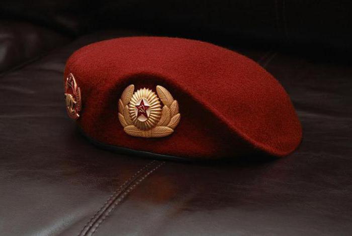 Витязь - первое подразделение спецназа МВД
